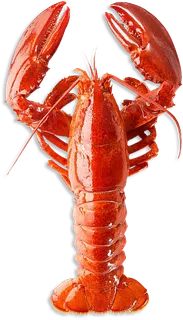 小龙虾单只免抠元素