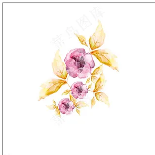 小清新花卉素材图片