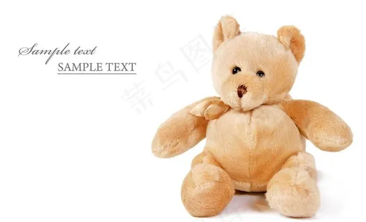 泰迪熊 玩具熊图片
