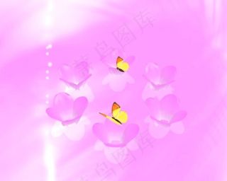 婚礼视频素材下载