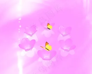 婚礼视频素材下载