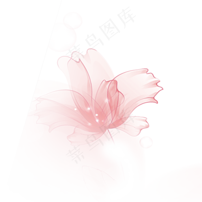 粉色装饰花纹鲜花玫瑰(300 dpi)