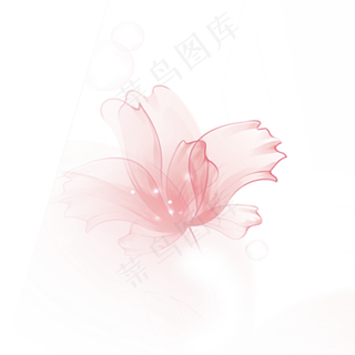 粉色装饰花纹鲜花玫瑰