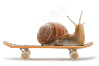 滑板上的蜗牛图片