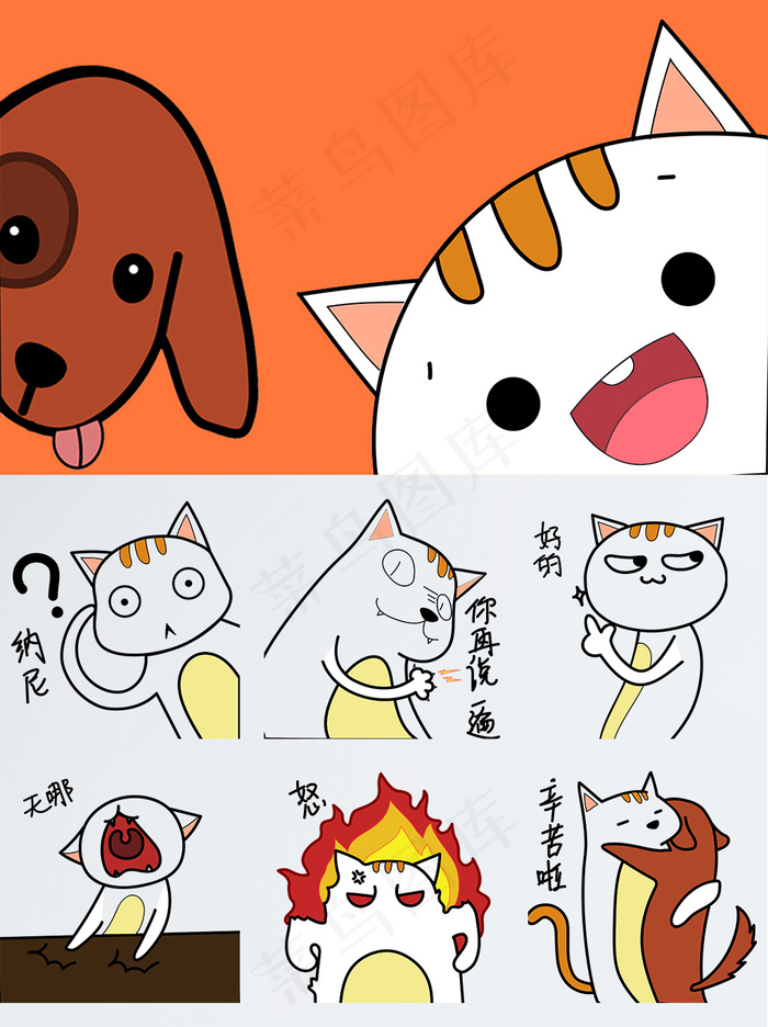 贱萌橘猫的日常