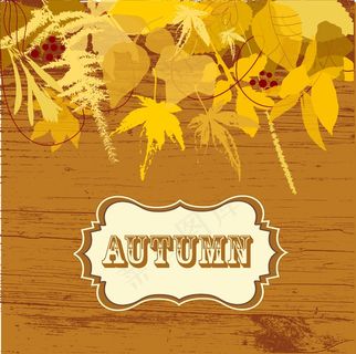 秋天的落叶背景