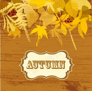 秋天的落叶背景