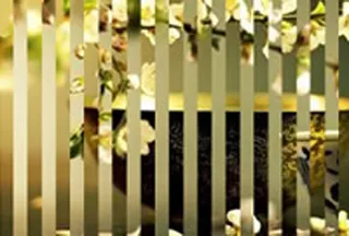 百叶窗图片特效Flash