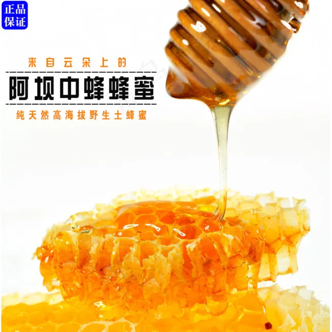 土蜂蜜阿坝中蜂蜂蜜阿里淘宝首图高清psd模版下载