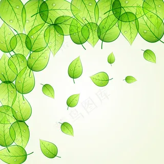 绿色背景矢量图