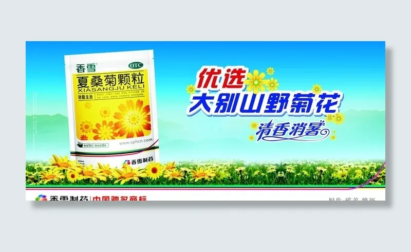 大别山野菊花图片