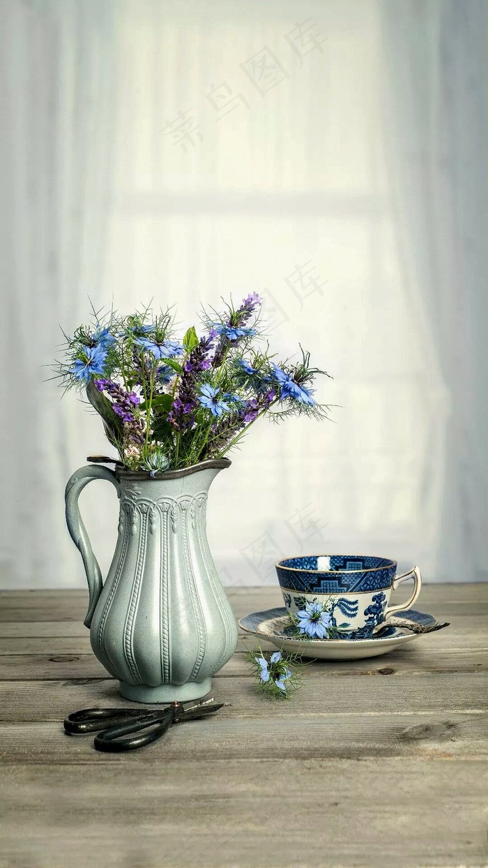 一花一杯高清图片