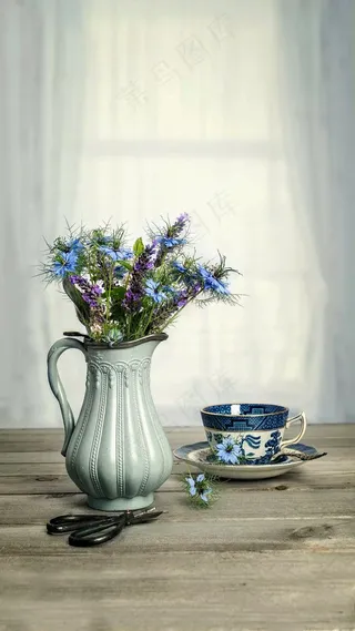 一花一杯高清图片