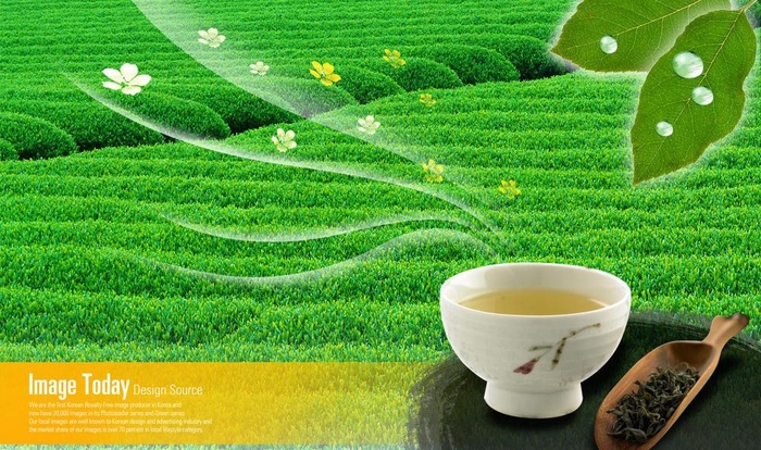 绿茶类广告图片(4000X2600(DPI:300))psd模版下载