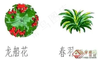 一些树木PS素材