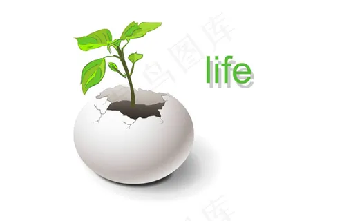 蛋壳破碎长出植物