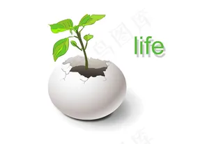 蛋壳破碎长出植物