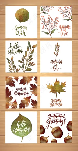 8款秋季叶子矢量设计元素