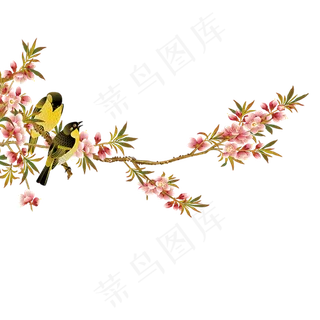 小鸟鸟类飞鸟图片PNG设计元素