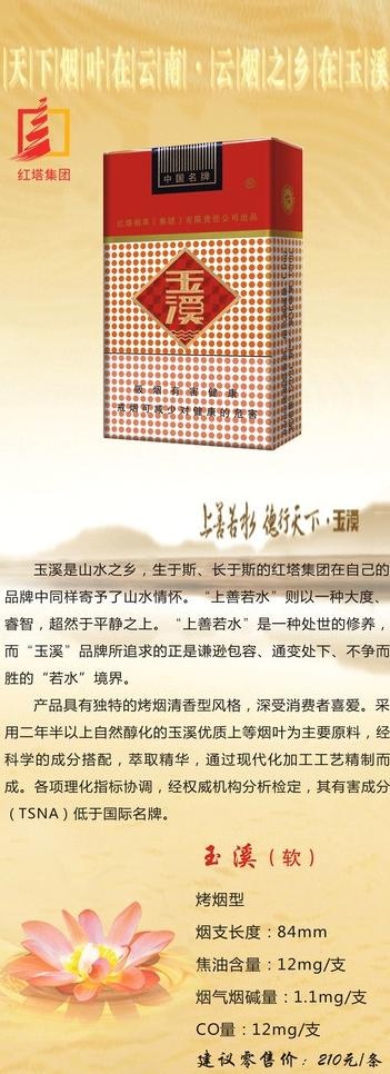 玉溪宣传展架图片cdr矢量模版下载