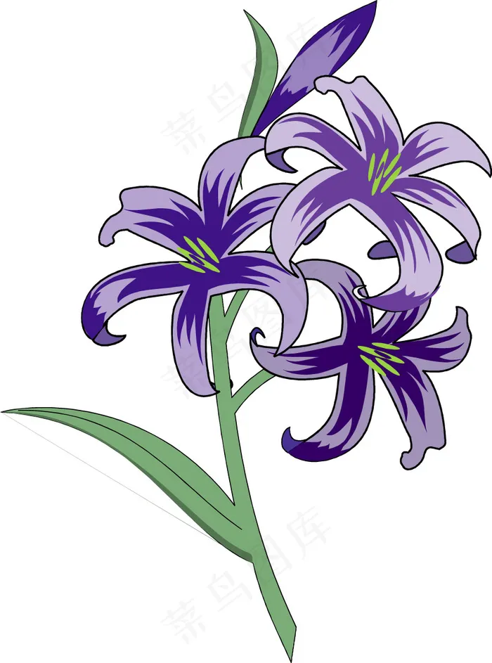 位图 植物 优雅植物 花卉 时尚休...
