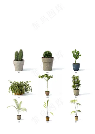 室内植物盆栽模型