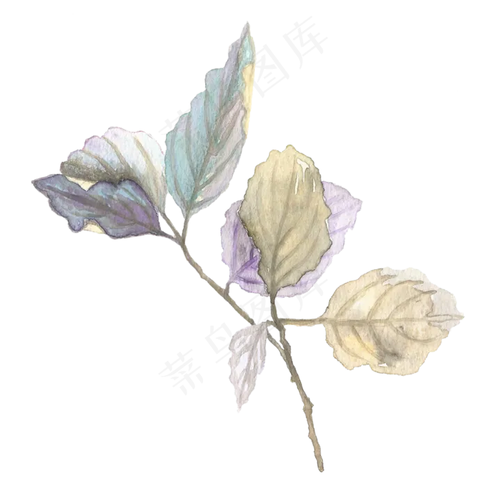 手绘一株植物透明素材png