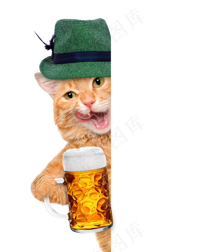 白画板后面拿着啤酒的小猫图片