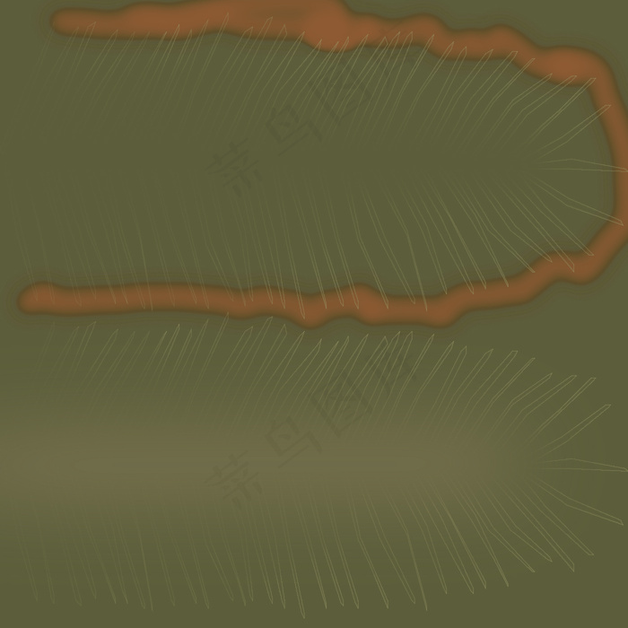 049 phoenix dacty...