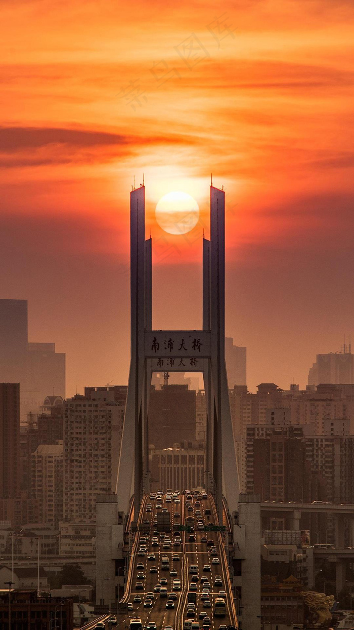 夕阳下的南浦大桥高清摄影图片