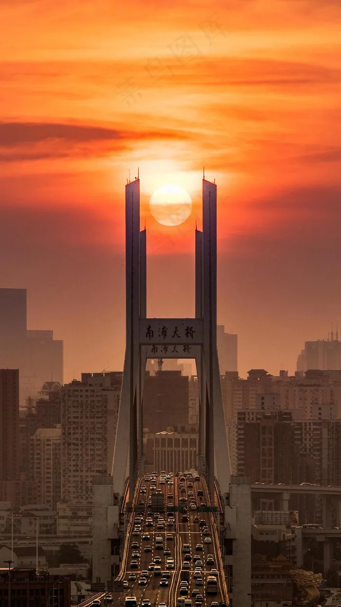 夕阳下的南浦大桥高清摄影图片