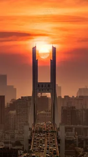 夕阳下的南浦大桥高清摄影图片