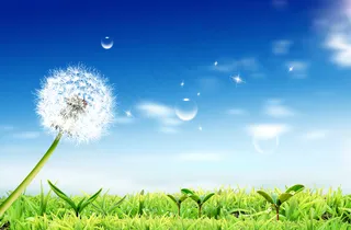 蓝天白云草地背景