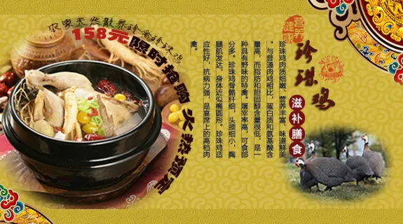 珍珠鸡 淘宝首页