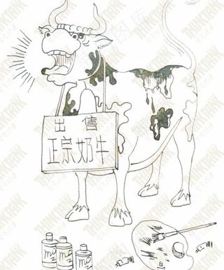 出售正宗牛奶图片