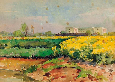 油菜花飘香图片