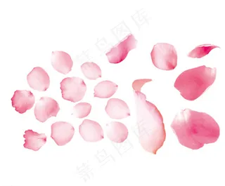 花瓣素材PSD分层图片