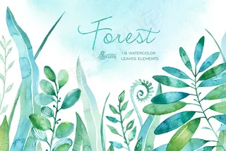 水彩手绘花卉花朵植物卡片邀请函图案