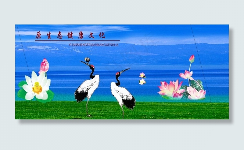 仙鹤 荷花 蓝天图片(5512X2755(DPI:50))psd模版下载
