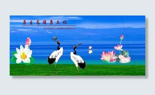 仙鹤 荷花 蓝天图片