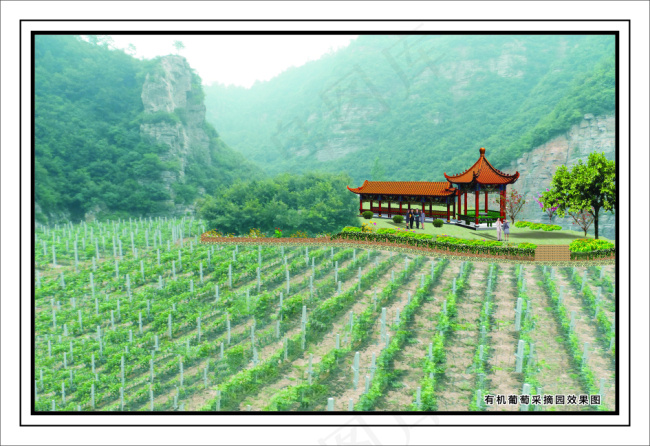 有机葡萄采摘园效果图