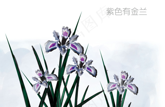 紫色有金兰(4000X2600(DPI:300))psd模版下载