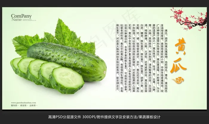 蔬菜展板设计黄瓜海报招贴广告设计psd模版下载