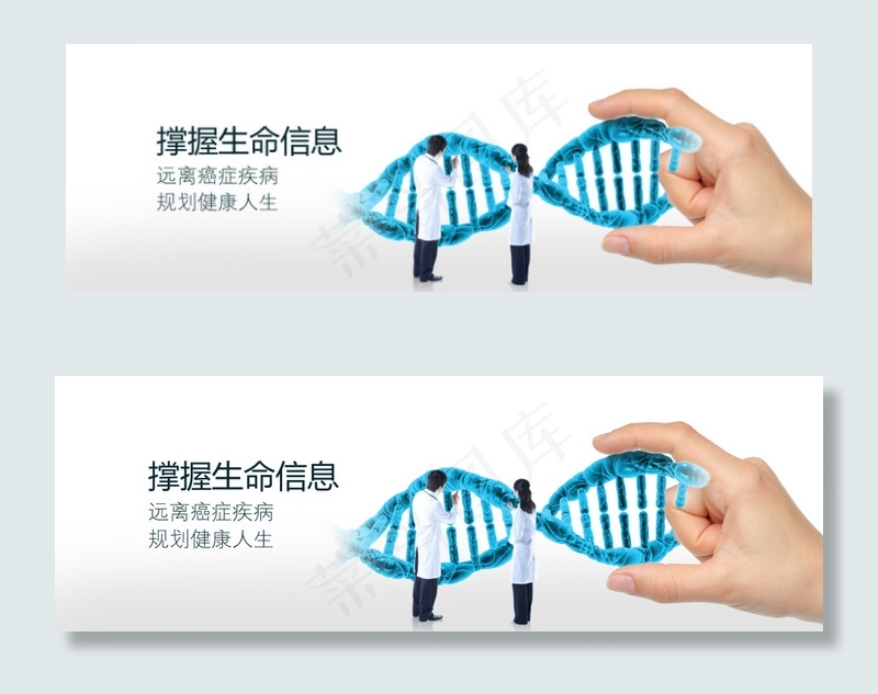 基因检测psd模版下载