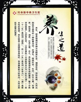 养生之道图片