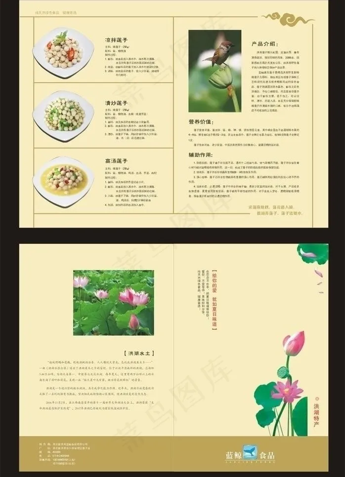 莲子彩页图片cdr矢量模版下载