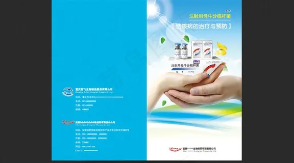 医疗保健类宣传单页设计图片