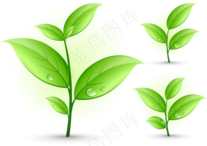 春天绿色小草eps,ai矢量模版下载