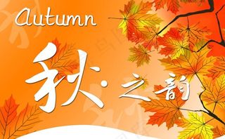 秋季吊牌图片