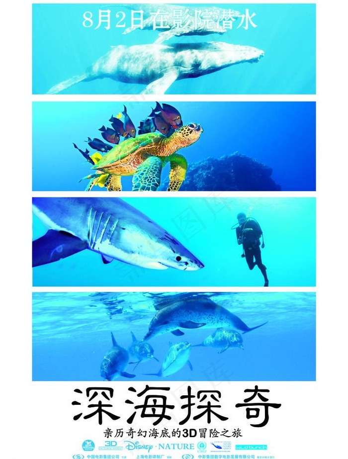 深海探奇（鱼合层）图片